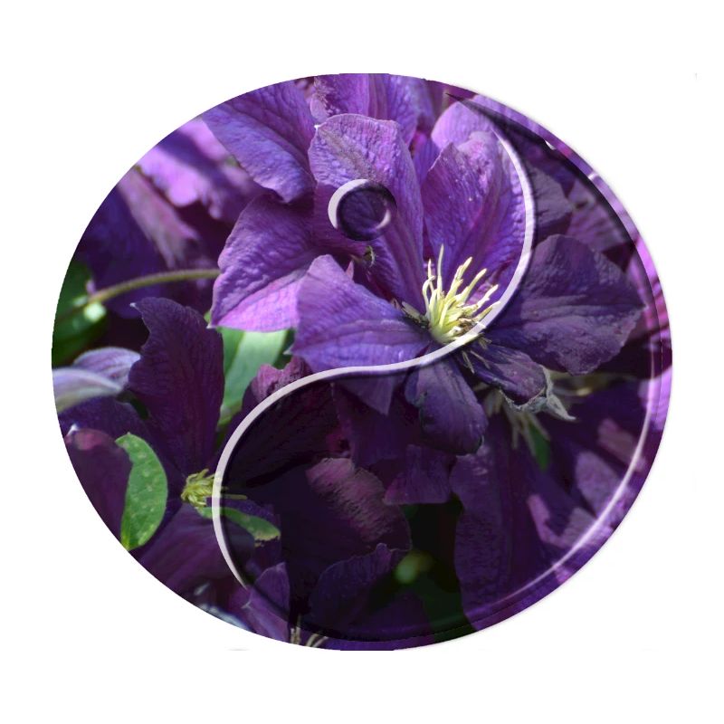 Fleurs yin yang