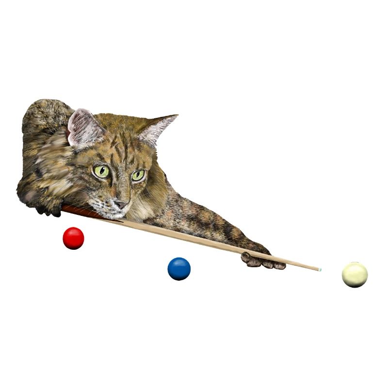 CHAT DE BILLARD ET DE BILLARD, 8 BALLES, 9 BALLES - CHAT JOUANT