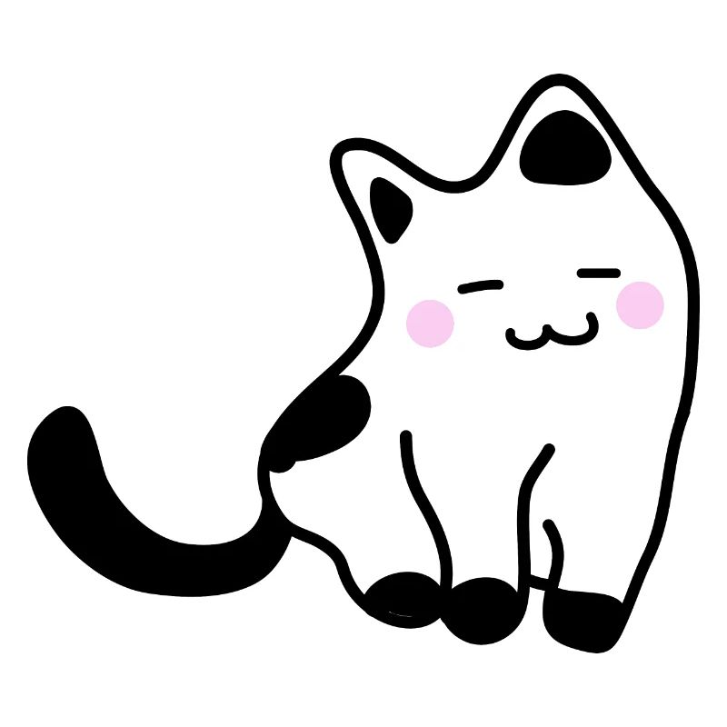 Chaton blanc