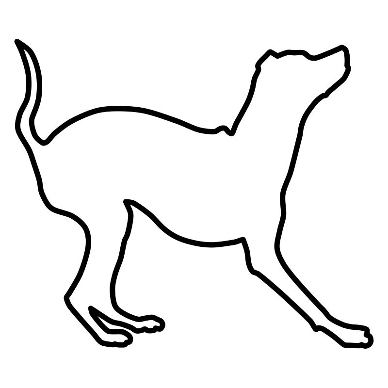 Miniature Pinscher Contours 1
