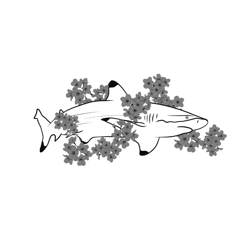 Shark 2