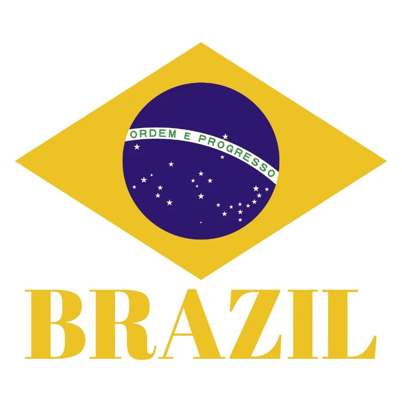 BRÉSIL BRASIL Drapeau Vintage C’est dans mon ADN Brésil