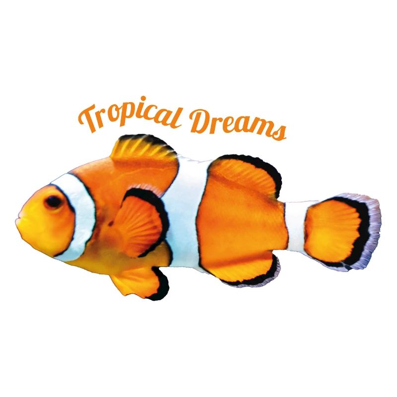 Clown Fish
