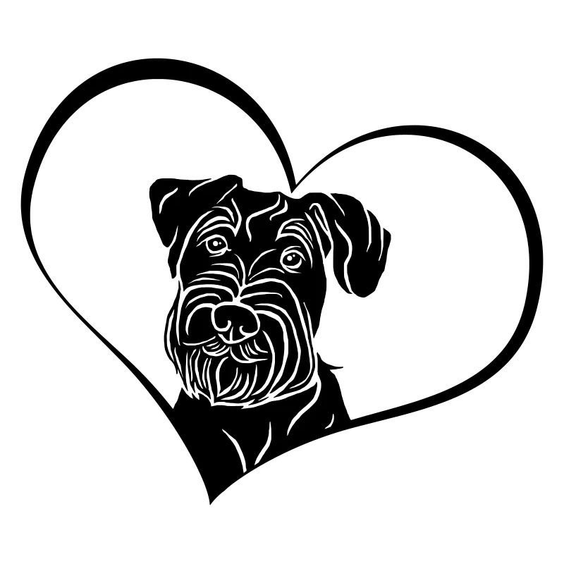 Schnauzer moyen en cœur