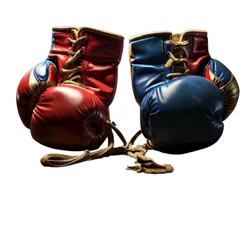 Fighting Pair Boxing Lovers