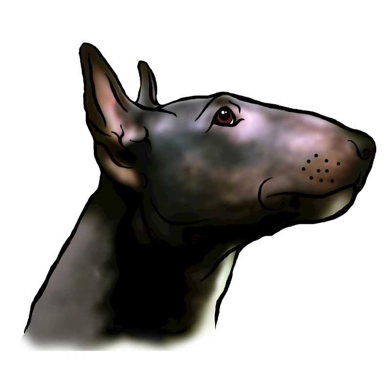 Bull Terrier Head in Profile Comic Style
