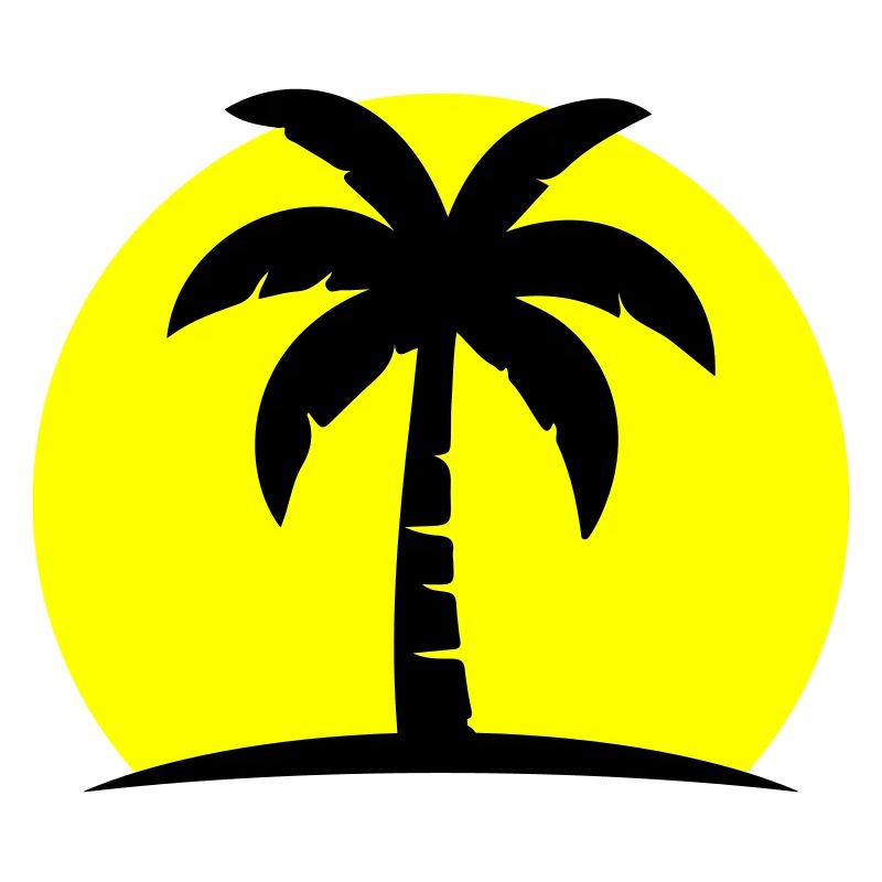Palme Strand Sonne