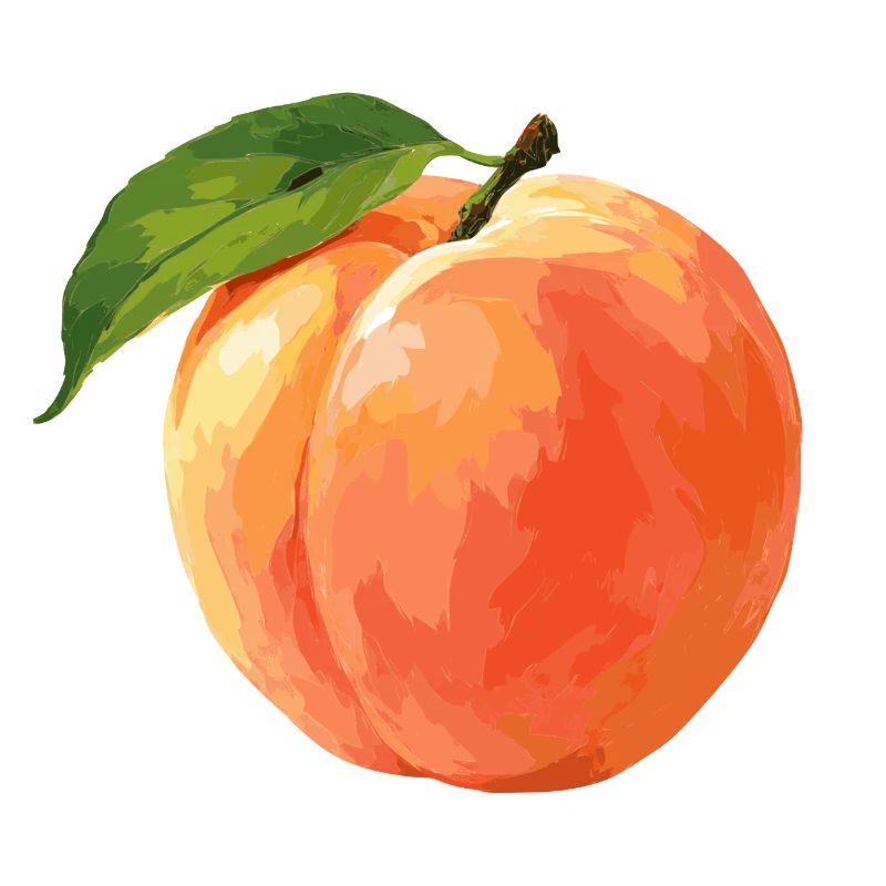 Pêche