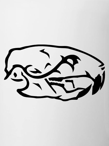 Crâne de Rat