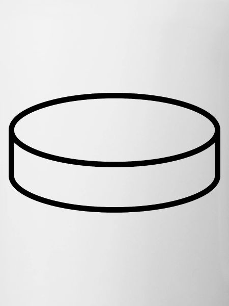 Hockey Puck