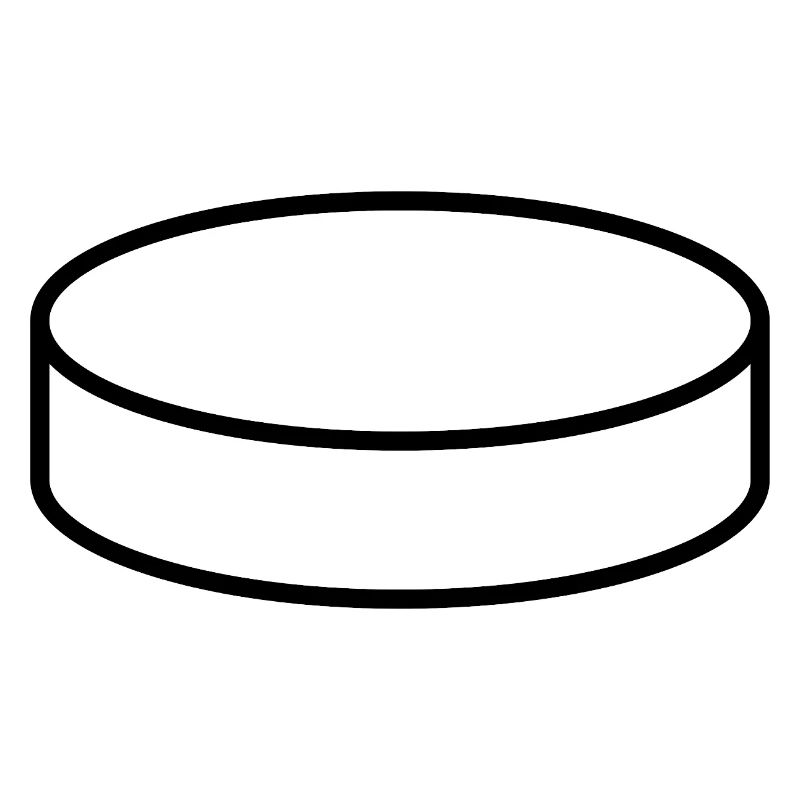 Palet de hockey