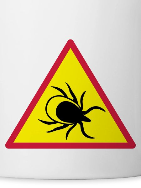 Attention ticks