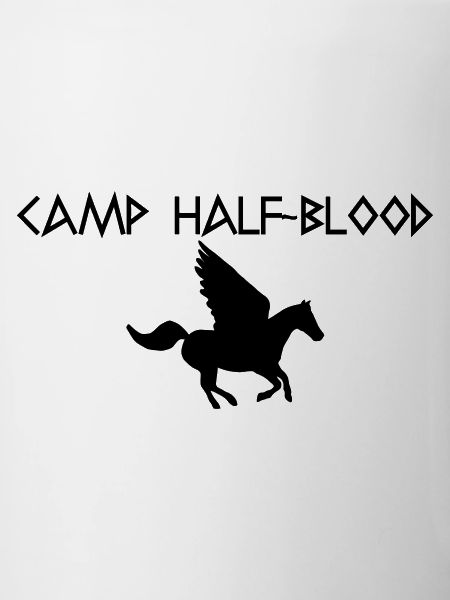 Graphique du camp