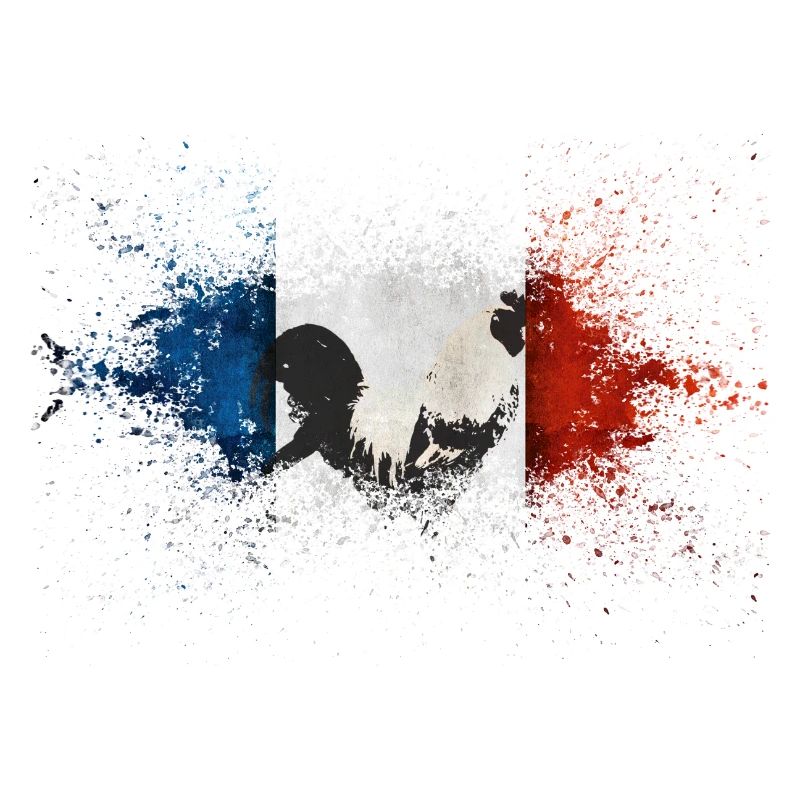 French Flag