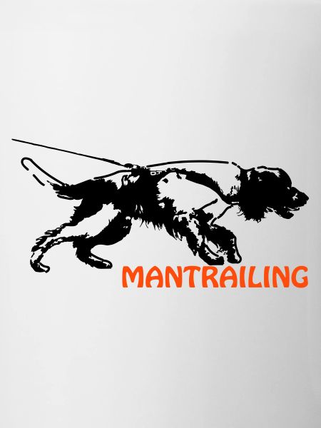 Springer Spaniel beim Mantrailing
