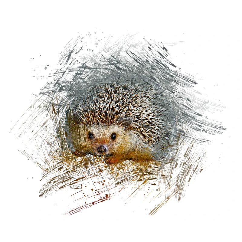 hérisson