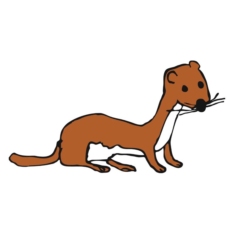 weasel