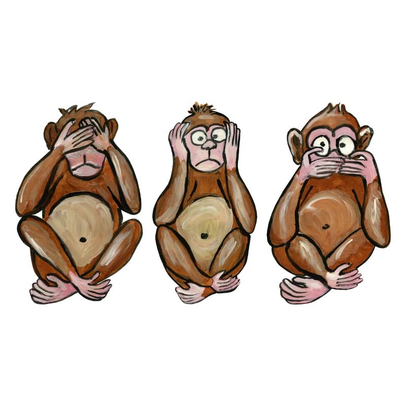 the 3 monkeys blind monkey the deaf and the dumb