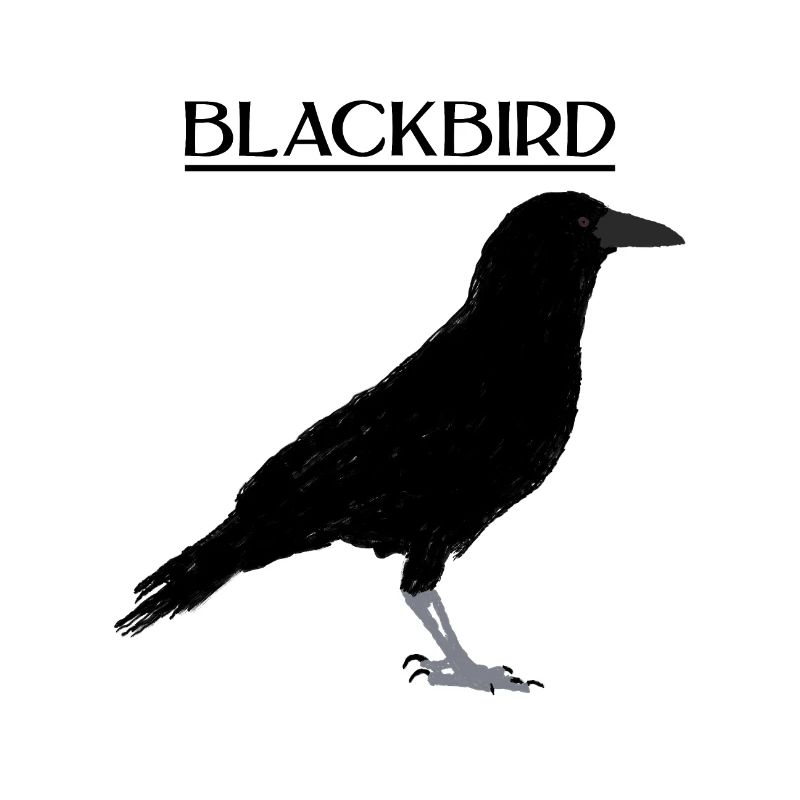 BLACKBIRD