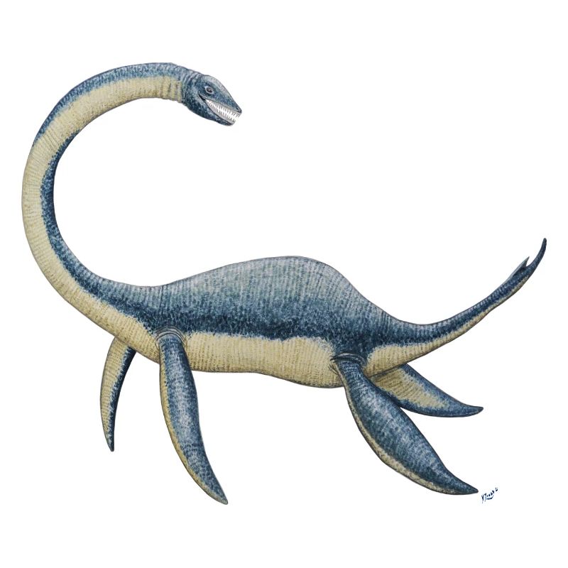 Dinosaurier Plesiosaurus