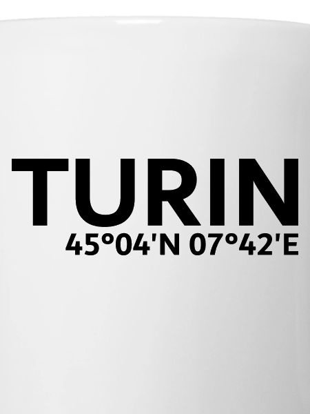 Turin coordinates