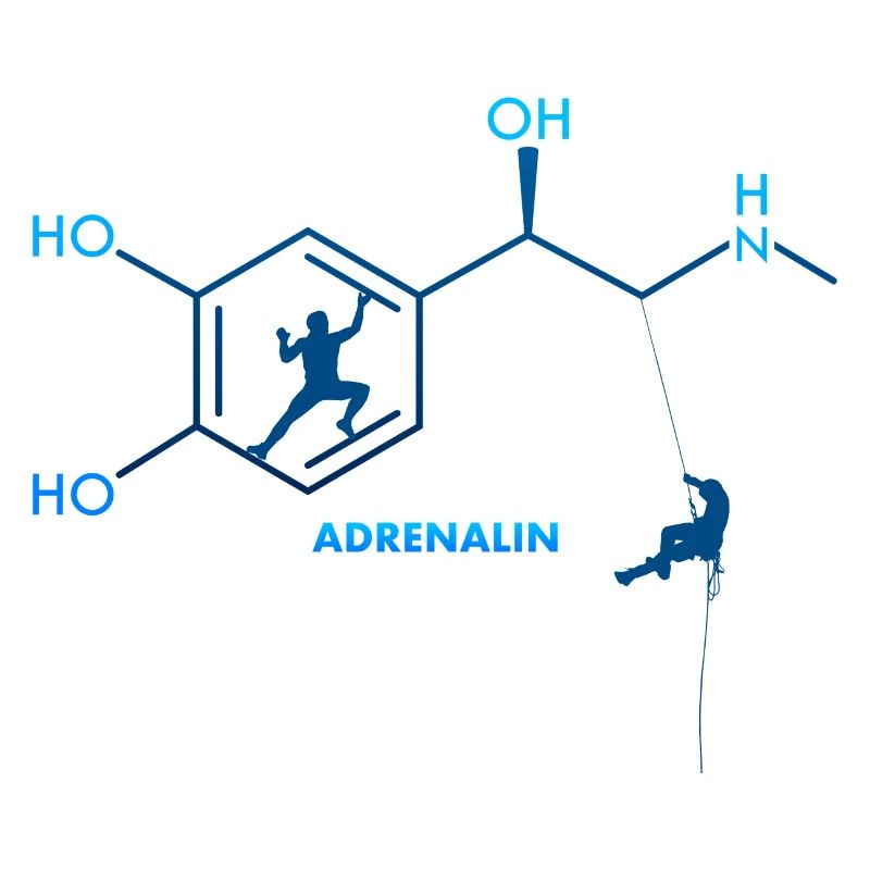 Escalade Escalade Bloc Adrénaline Formule Chimie