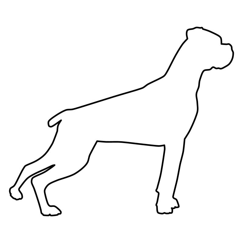 Boxer Contours 1