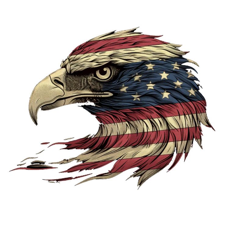 American Flag Freedom Eagle USA Pride 2