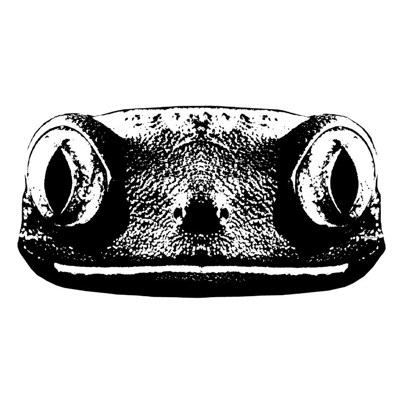 Gecko / Grenouille