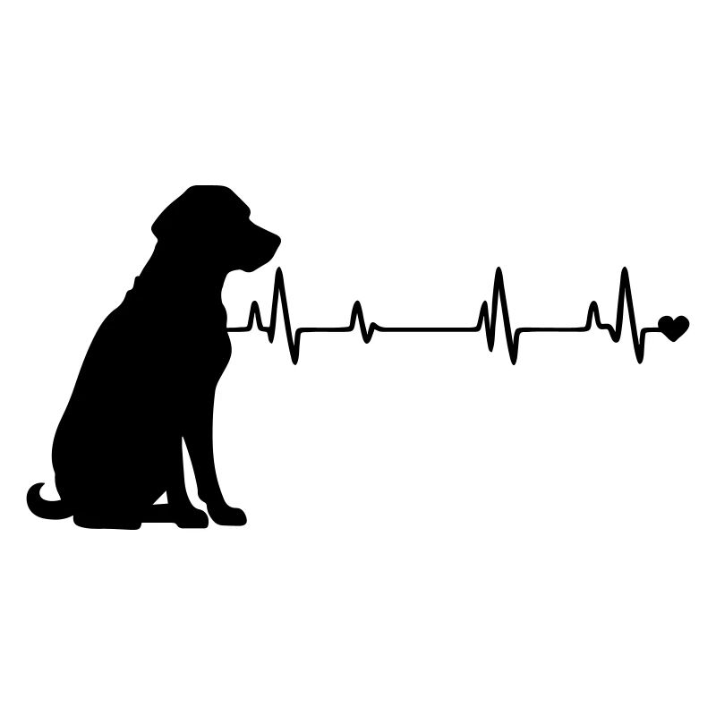 Chien
