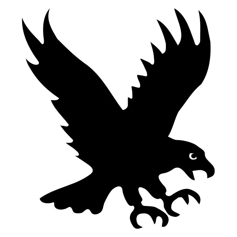 Adler Raubvogel Greifvogel Flügel eagle vogel bird