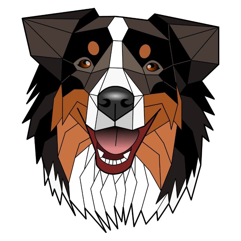 Australischer Schäferhund - Nisis
