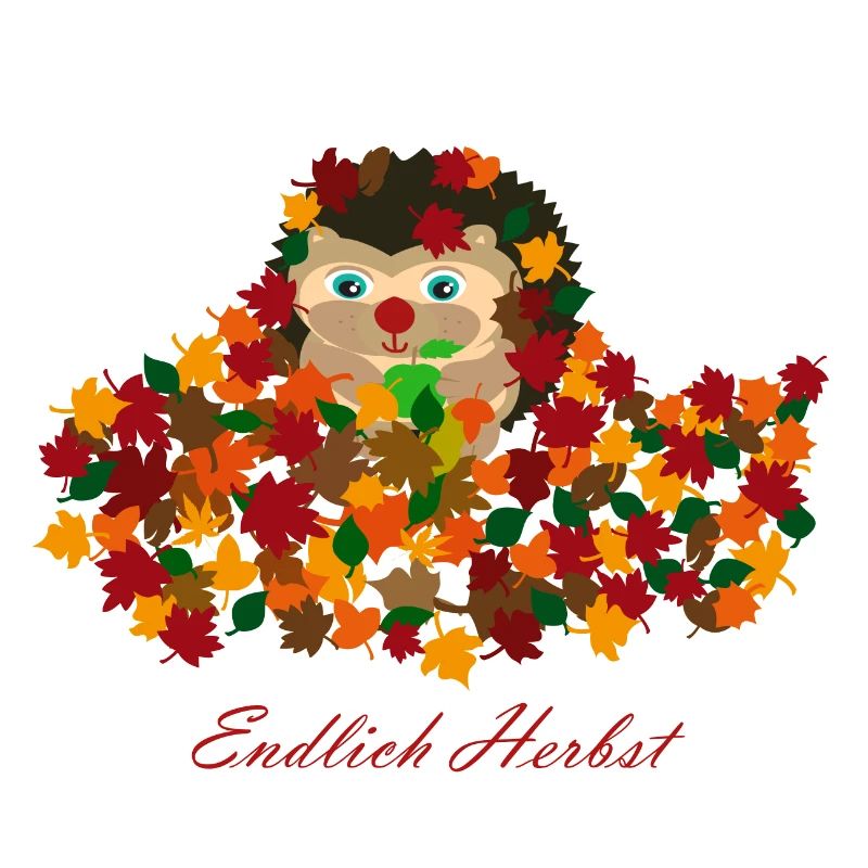 Endlich Herbst Igel Farbenfroh Drachen Geschenk