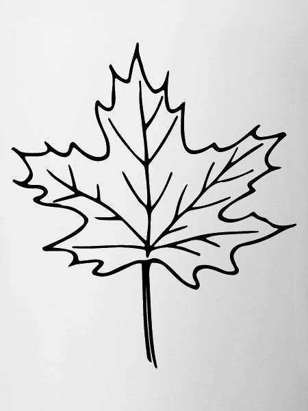leaf_1