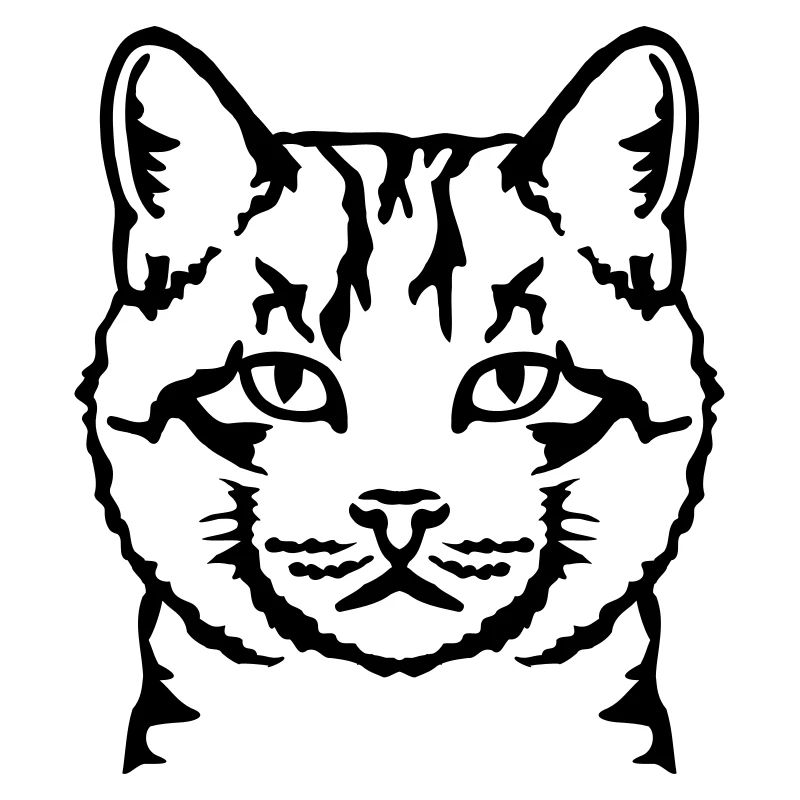 Katze