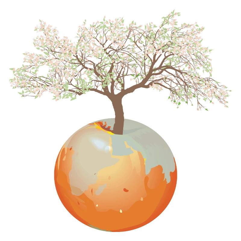 Terre - Pommier