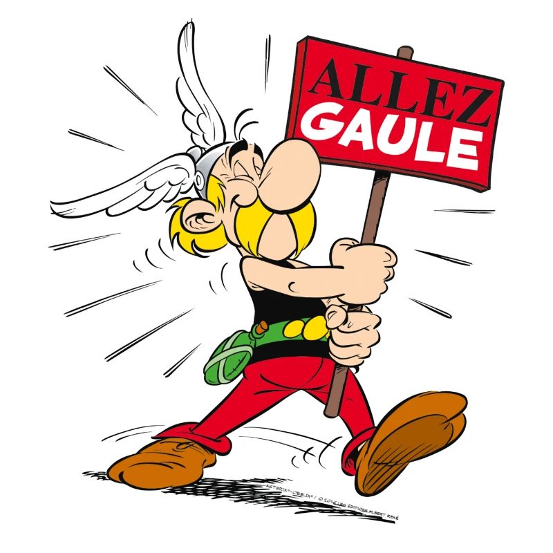Asterix - Go Gaul!