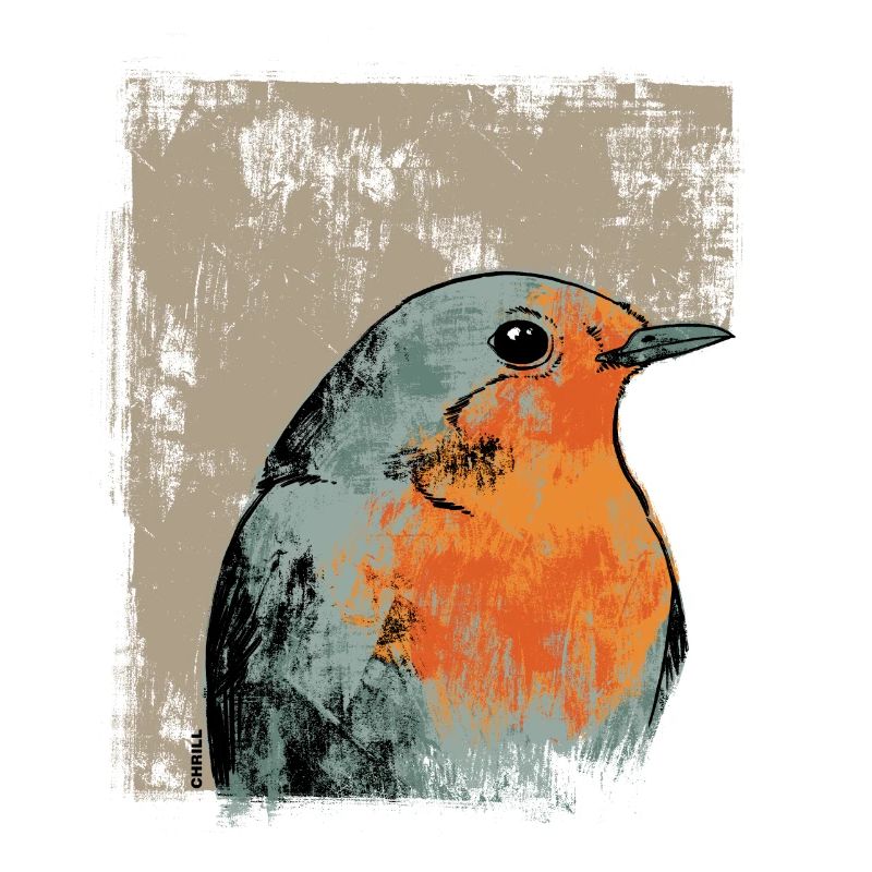Robin