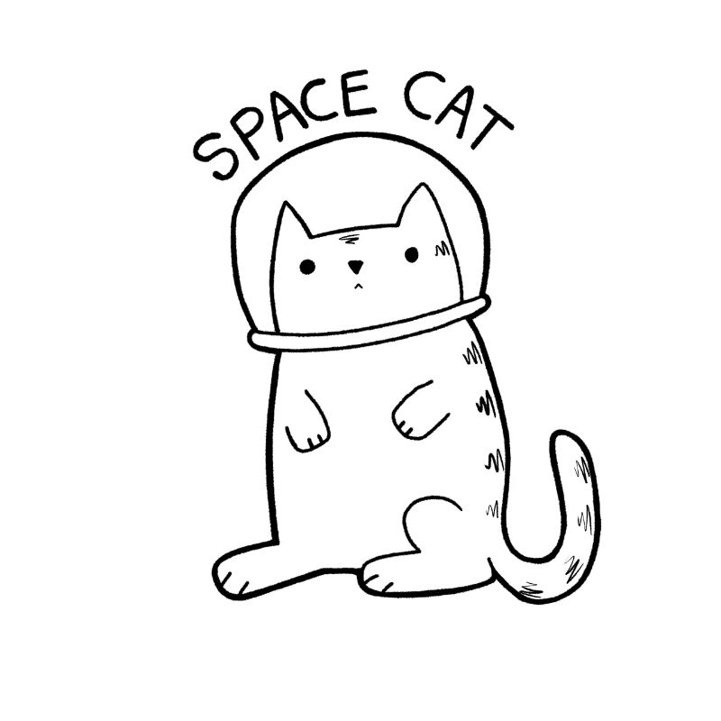 Chat de l'espace