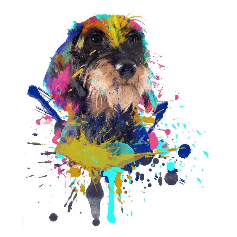 Wire-haired dachshund dachshund dachshund illustration
