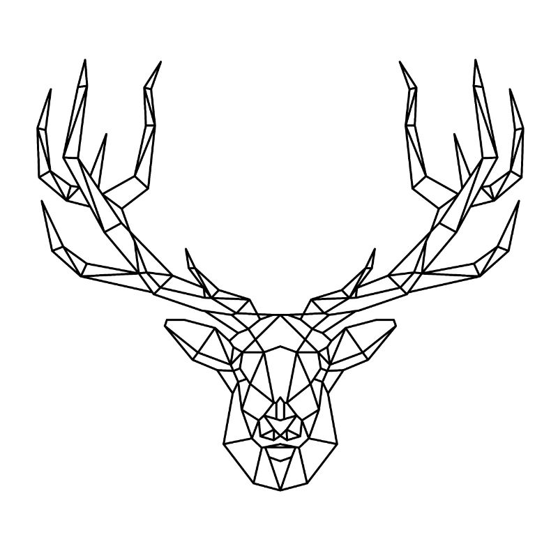 Hirsch Geweih Jagd
