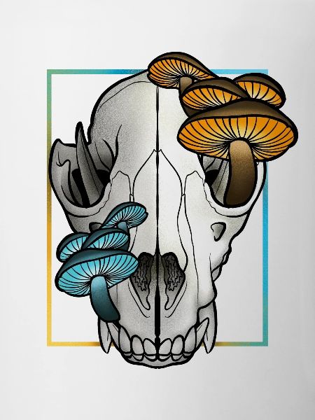 Bear skull
