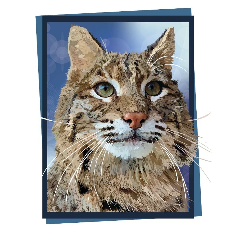 Luchs
