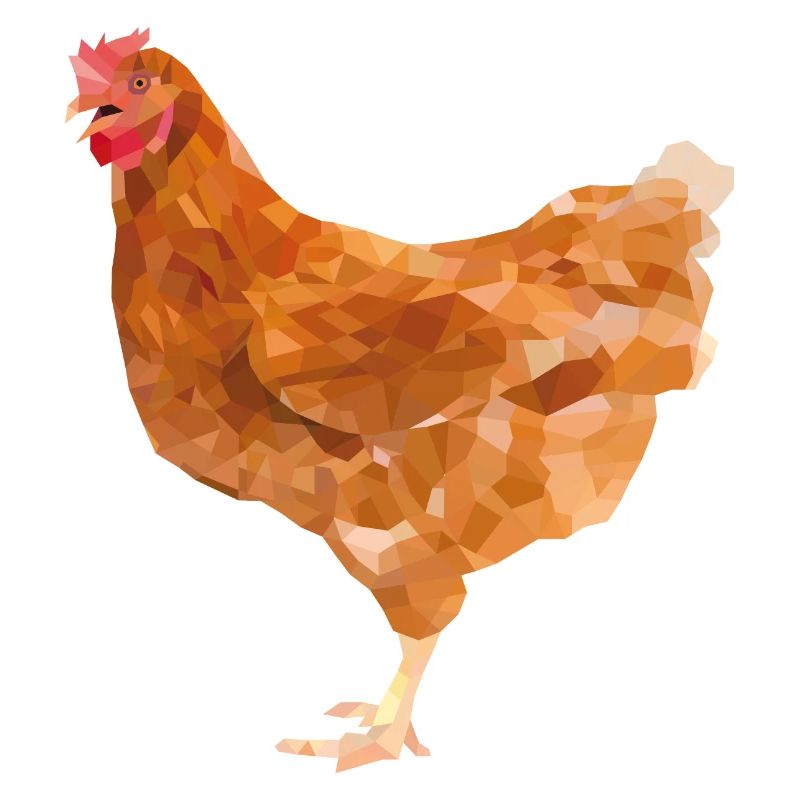 Huhn