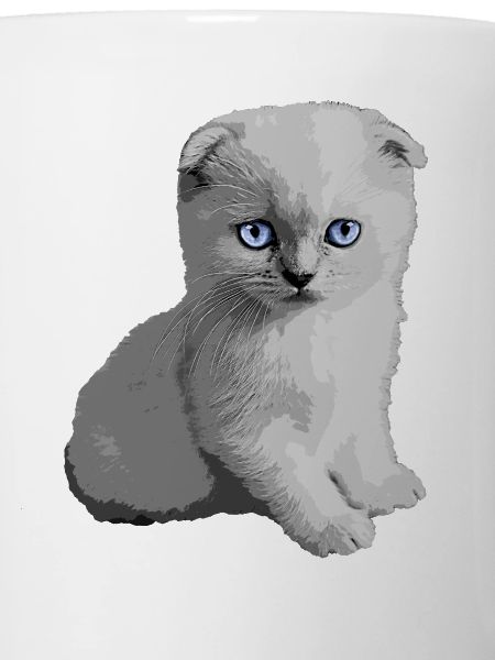 Cute Kitty Kitten
