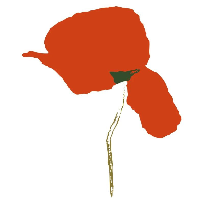Klatschmohn