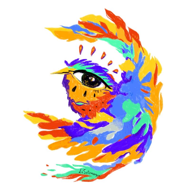 Oiseau coloré