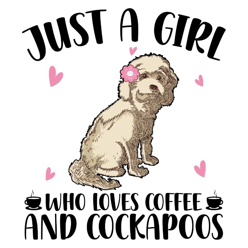 Cockapoo | Chiens Chiens Pet Cockapoos Cadeaux