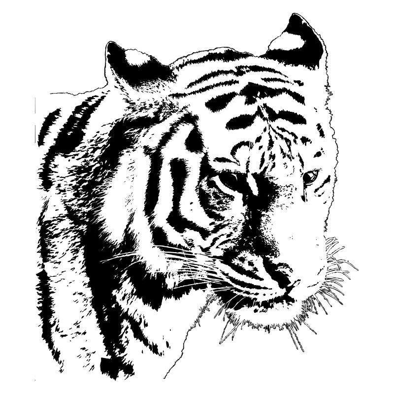 black tiger