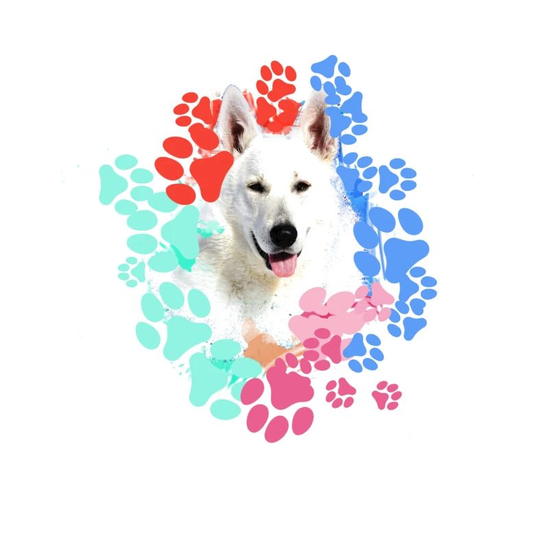 White Shepherd, German Shepherd, Paws, Print